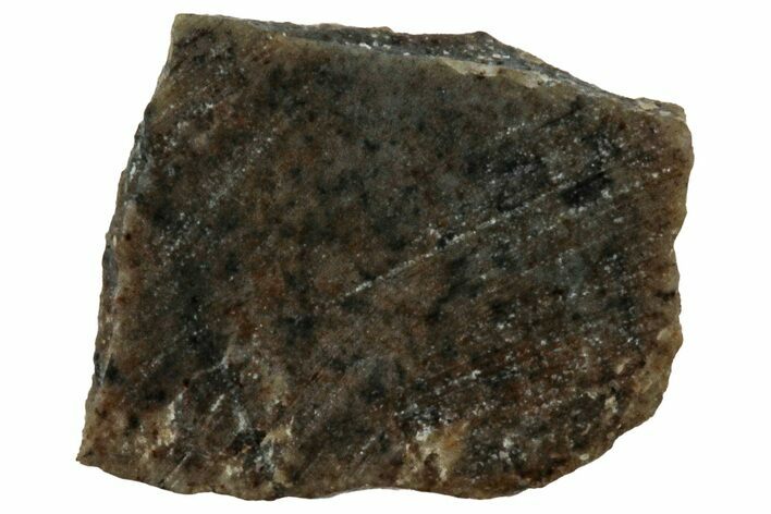 Rare, Lunar Basaltic Breccia Meteorite ( g) Slice - NWA #308451